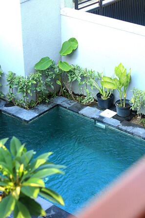 A swimming pool with surrounding potted plants and a white wall. - Sweet Corner Guest House (Denpasar)