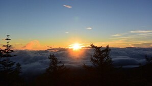 Un lever de soleil sur un paysage montagneux, avec des arbres au premier plan.