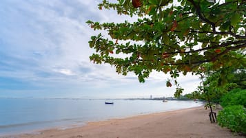 Pemandangan dari hartanah
