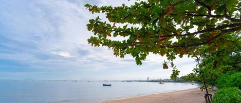 A beach with a sandy shore, a boat in the water, and a tree with green leaves in the foreground.