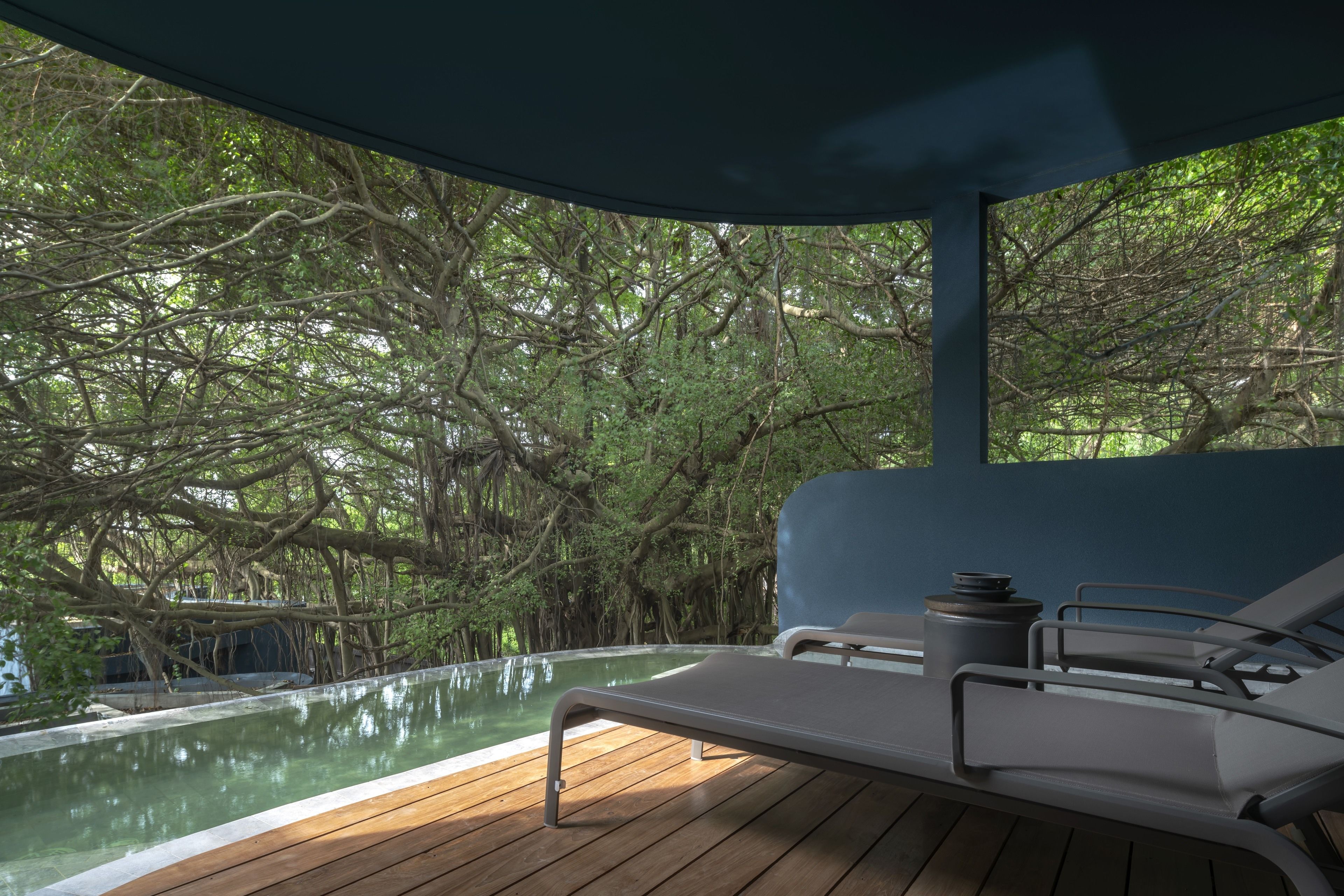 Banyan Pool Villa - with Private Plunge Pool on Balcony, Indoor Bathtub, Big Banyan Tree view, 2nd F | Udsigt fra værelset