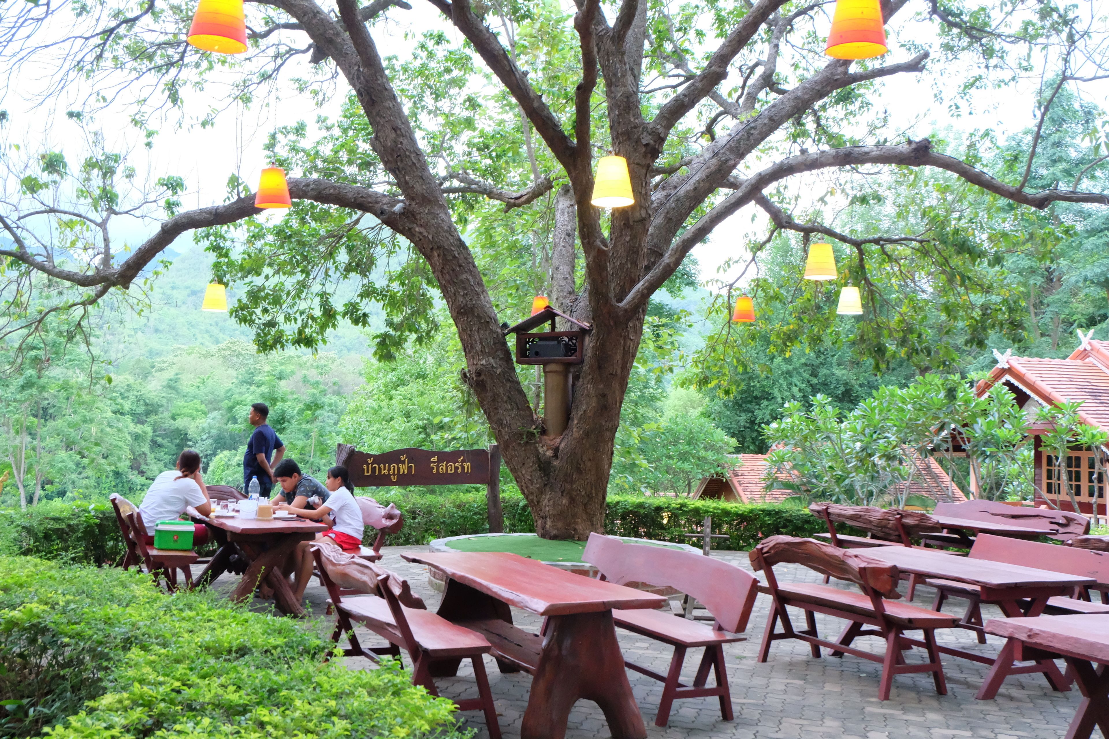 An outdoor dining area with wooden tables and benches under a large tree, surrounded by greenery.