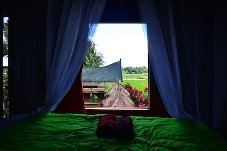 Vista desde la habitación