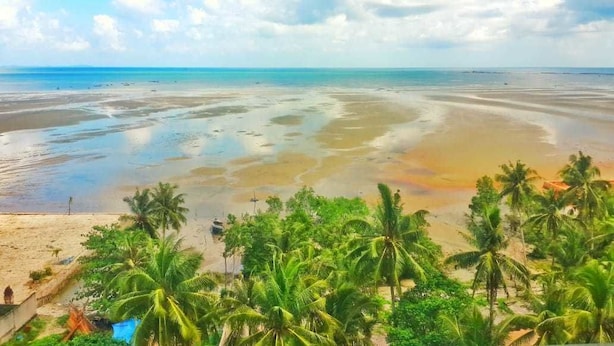 Uma praia com palmeiras e céu claro.
