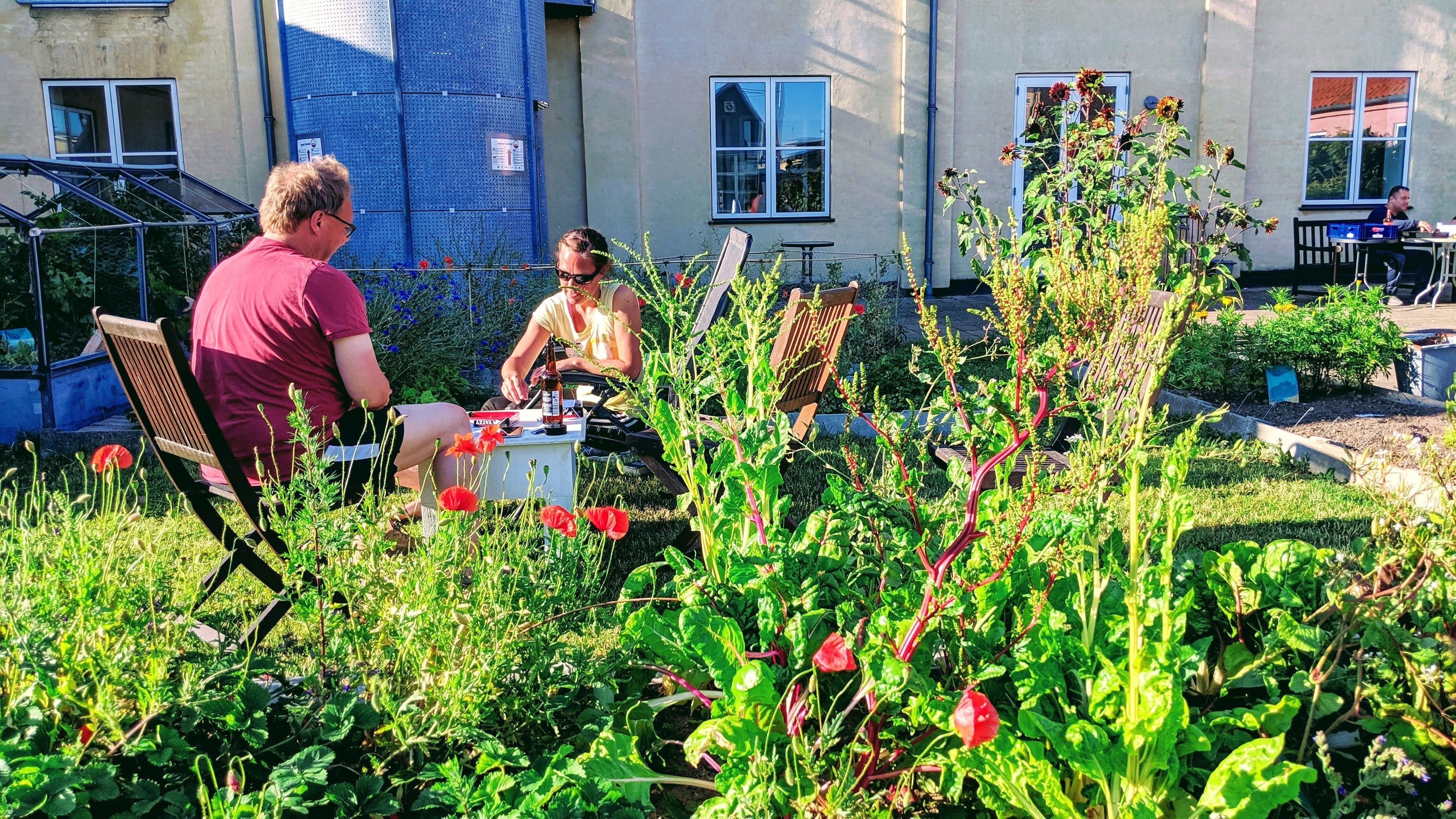 A garden with various plants and flowers, a table with a bottle, and a person sitting at the table.