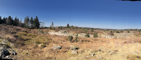 Un paisaje natural con terreno rocoso y vegetación escasa.