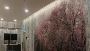 A hallway with a large mural of cherry blossoms and a reception area with a counter and seating. - Dreamcatchers Home (Kuantan)