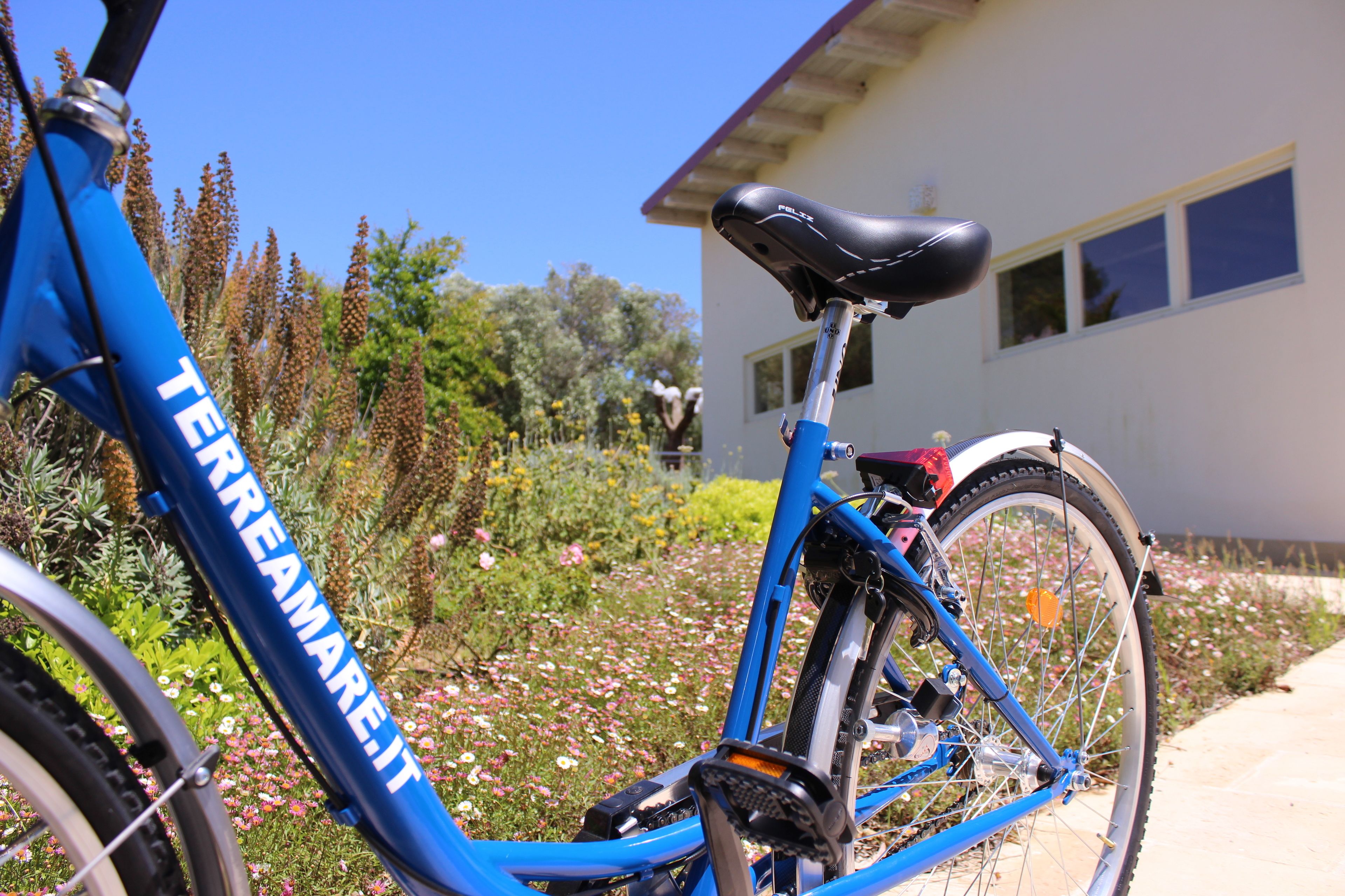 Photo - TerreAmare Agriturismo