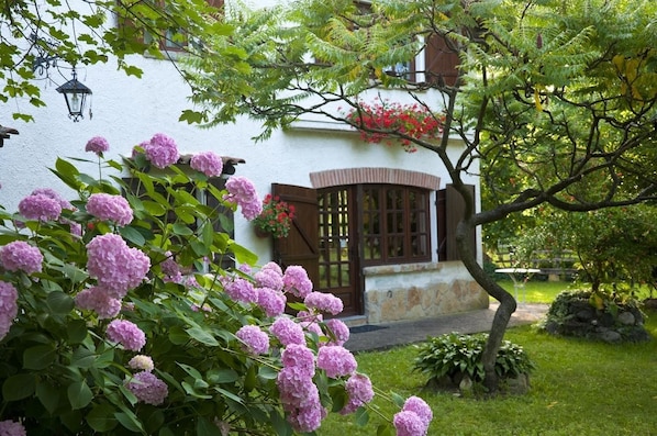 Vista al jardín
