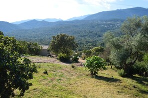 Garden - Les Petites Maisons (Sotta)