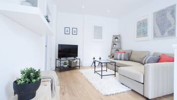 Flat-screen TV, Netflix