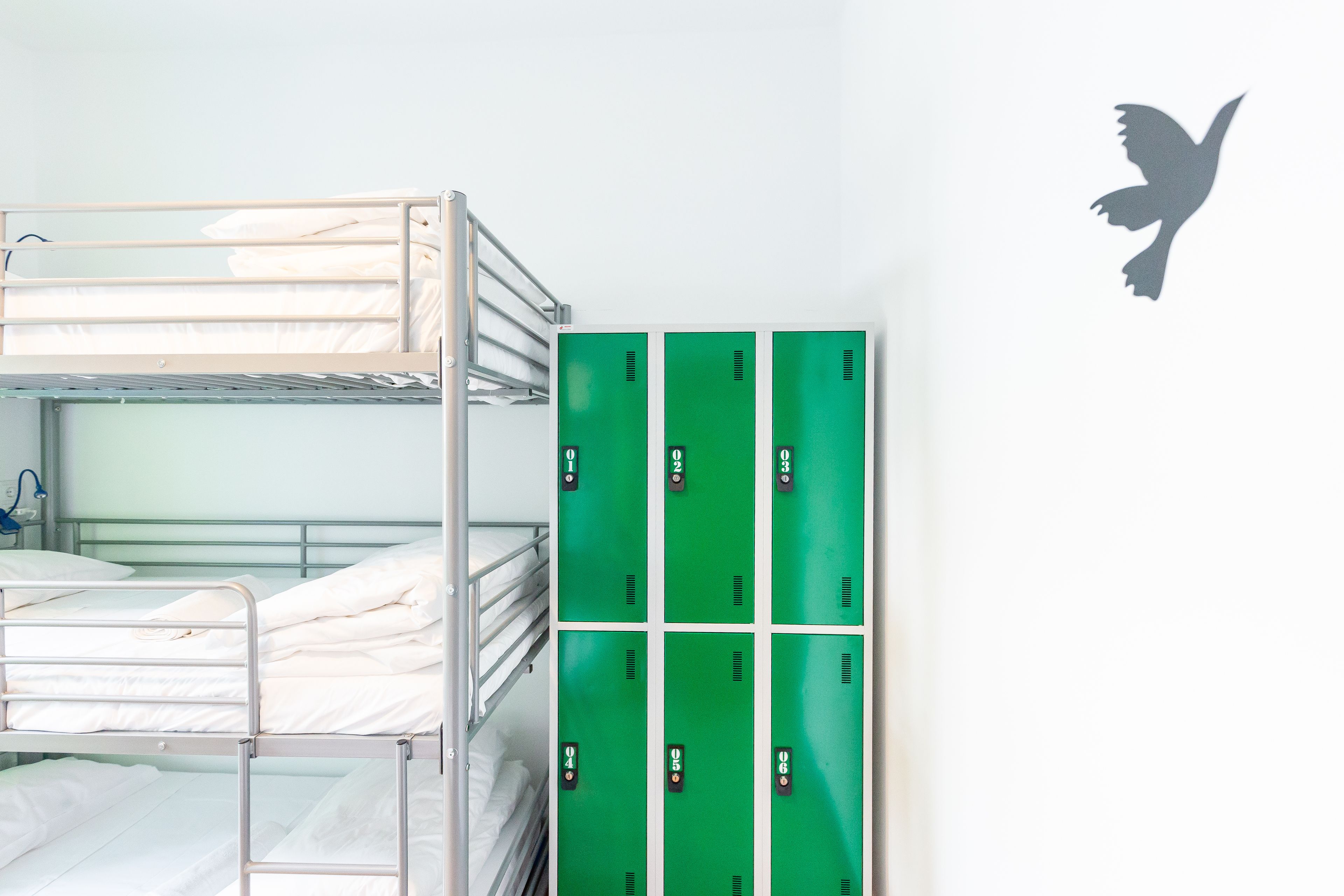 A bunk bed room with a green locker unit and a wall decal of a bird.