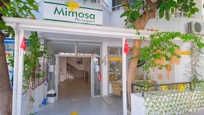 The entrance to Mimosa Pansiyon, featuring a white facade, glass doors, and a visible staircase leading inside. - Mimosa Pension (Kas)
