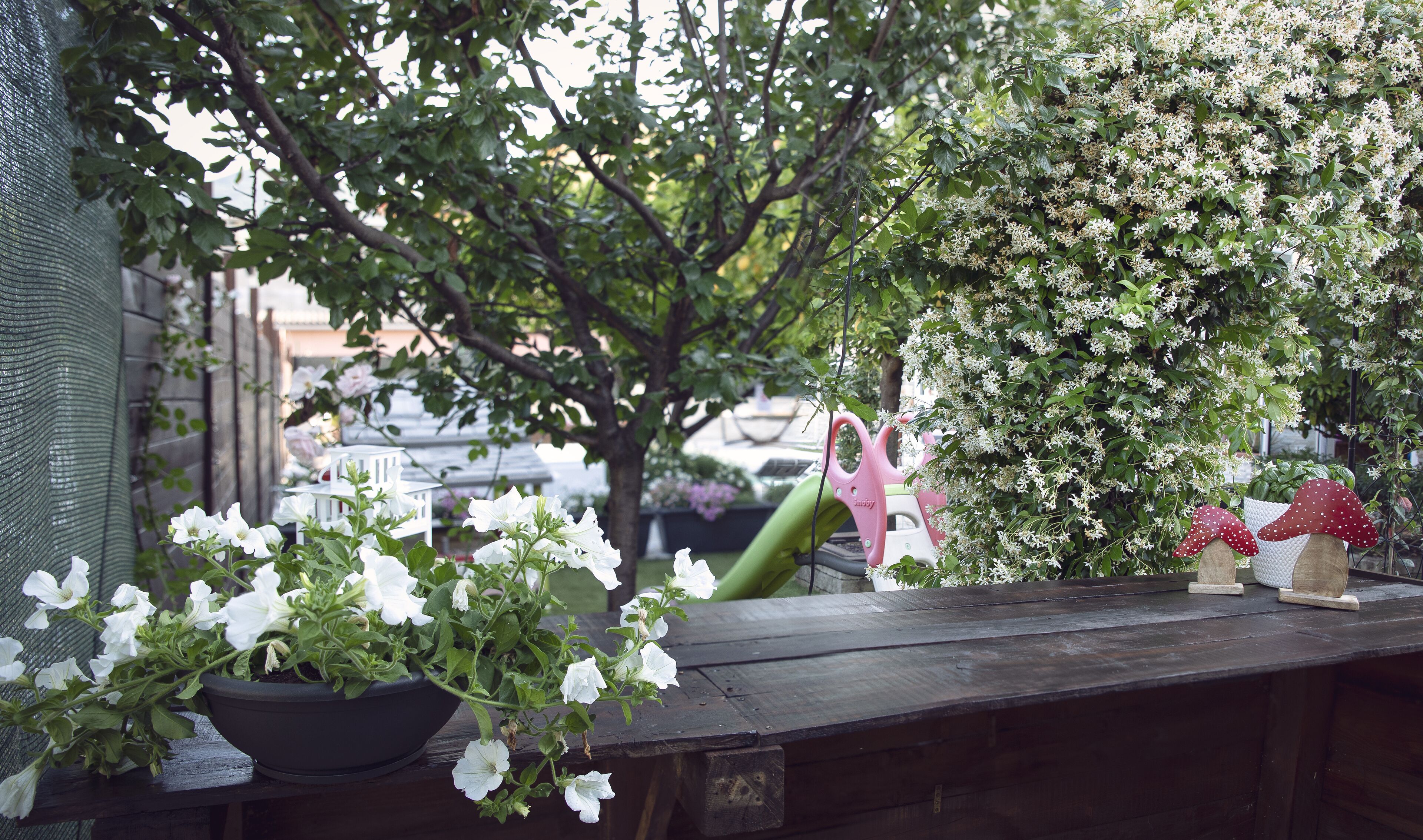 Foto - Affittacamere Villa Marcella