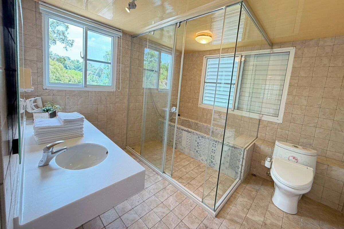 Un baño con ducha de vidrio, lavabo con espejo e inodoro.
