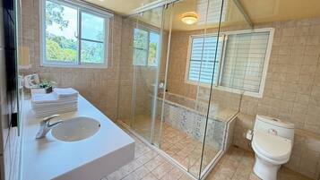 Un baño con ducha de vidrio, lavabo con espejo e inodoro.