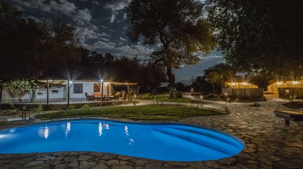 Outdoor pool, pool umbrellas, sun loungers - Ku Sungula Safari Lodge (Hoedspruit)