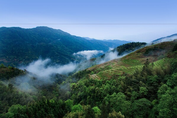 Un paisaje montañoso con campos en terrazas y un bosque denso.
