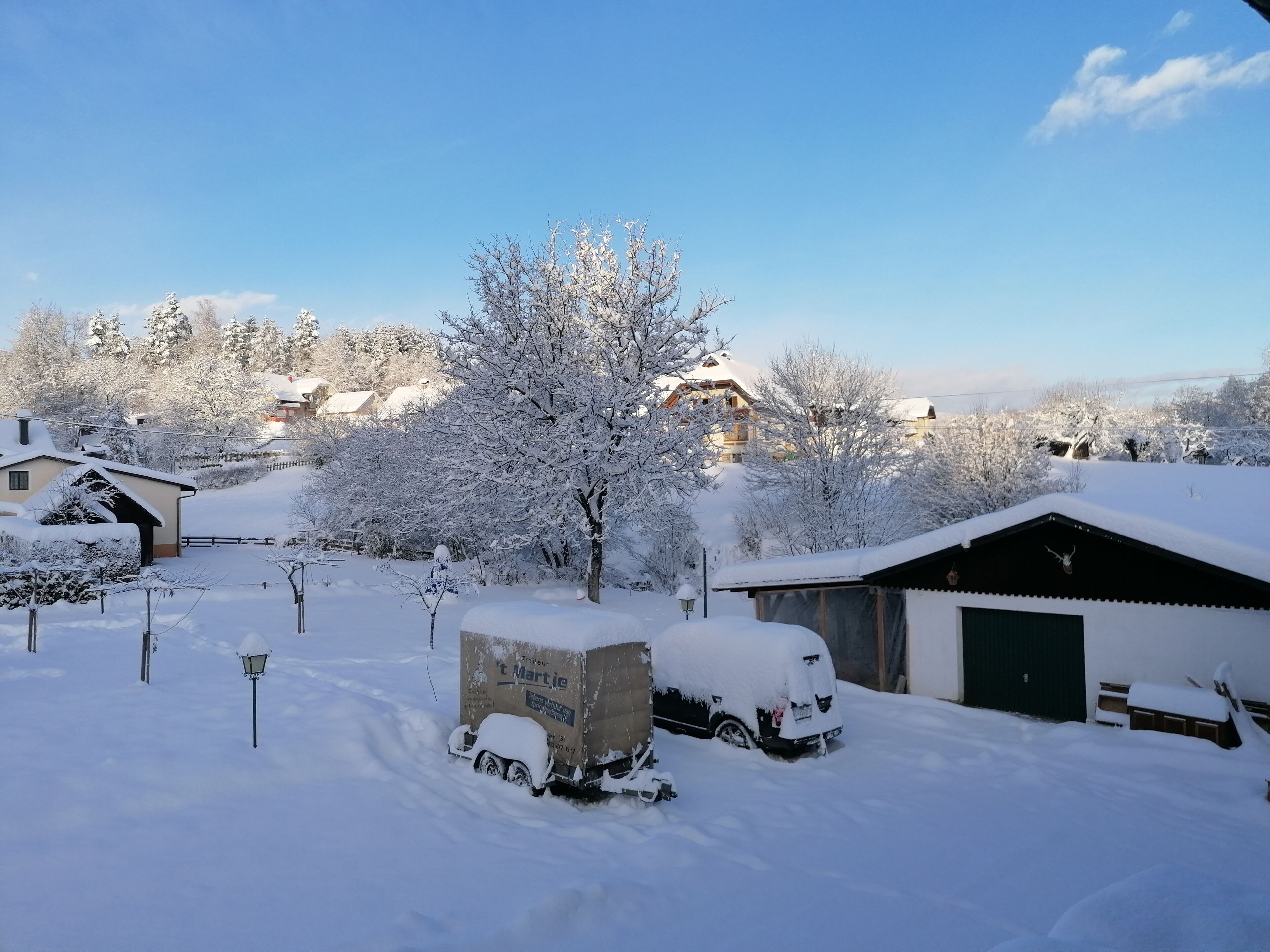 Un quartier résidentiel enneigé avec des maisons, un camion et un arbre.