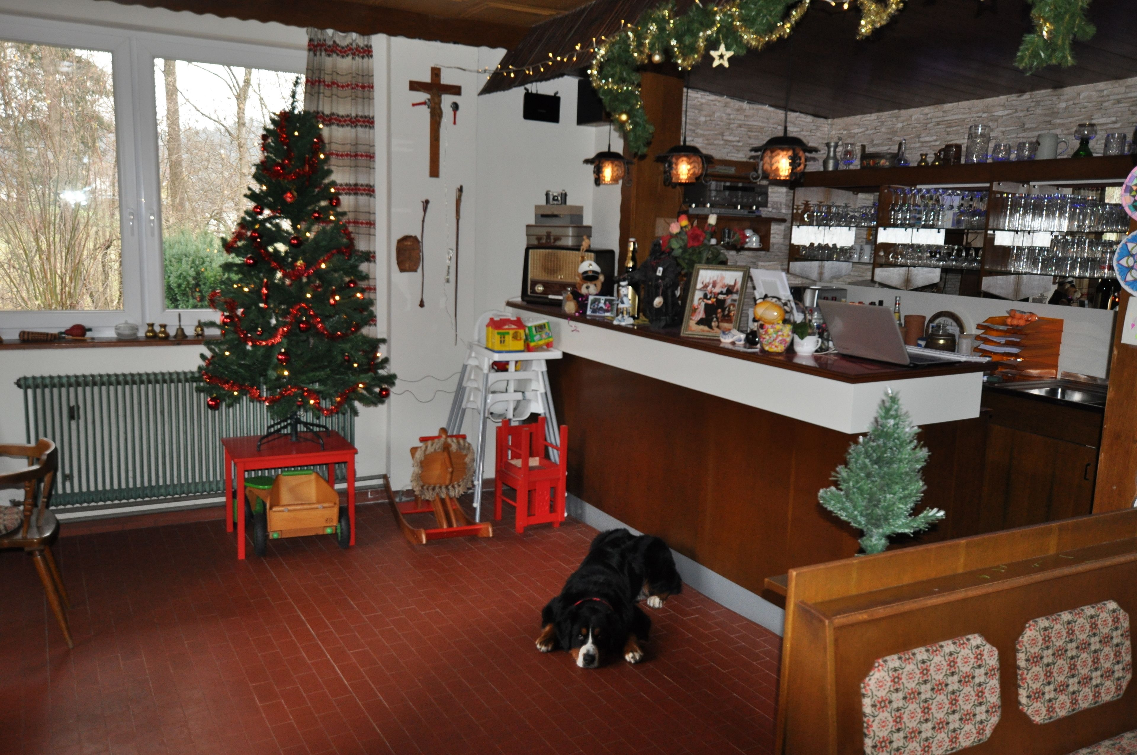 Une pièce chaleureuse avec un sapin de Noël, un chien, un coin bar en bois et un radiateur.