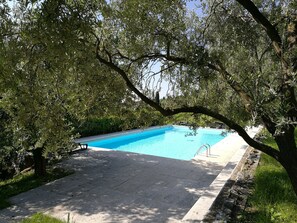 Ein von Bäumen umgebener Pool, verbunden durch einen Steinweg.