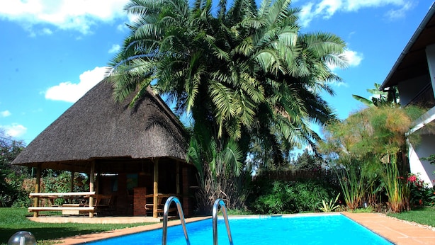 Una piscina con una estructura de techo de paja cerca, rodeada de exuberante follaje y un cielo azul claro.