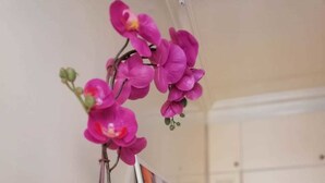 A potted orchid on a shelf with a framed picture beside it. - Vetrina Suites (Rome)