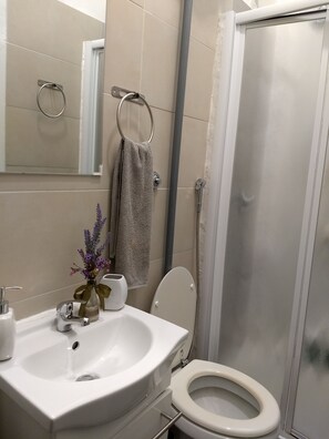 A bathroom with a sink, toilet, and shower. - amoRaRoma (Rome)