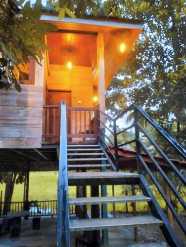 Green herbal Ayurvedic Eco-Lodge