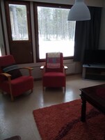 Basic Apartment, 1 Bedroom, Sauna (# D8) | Living room | Flat-screen TV