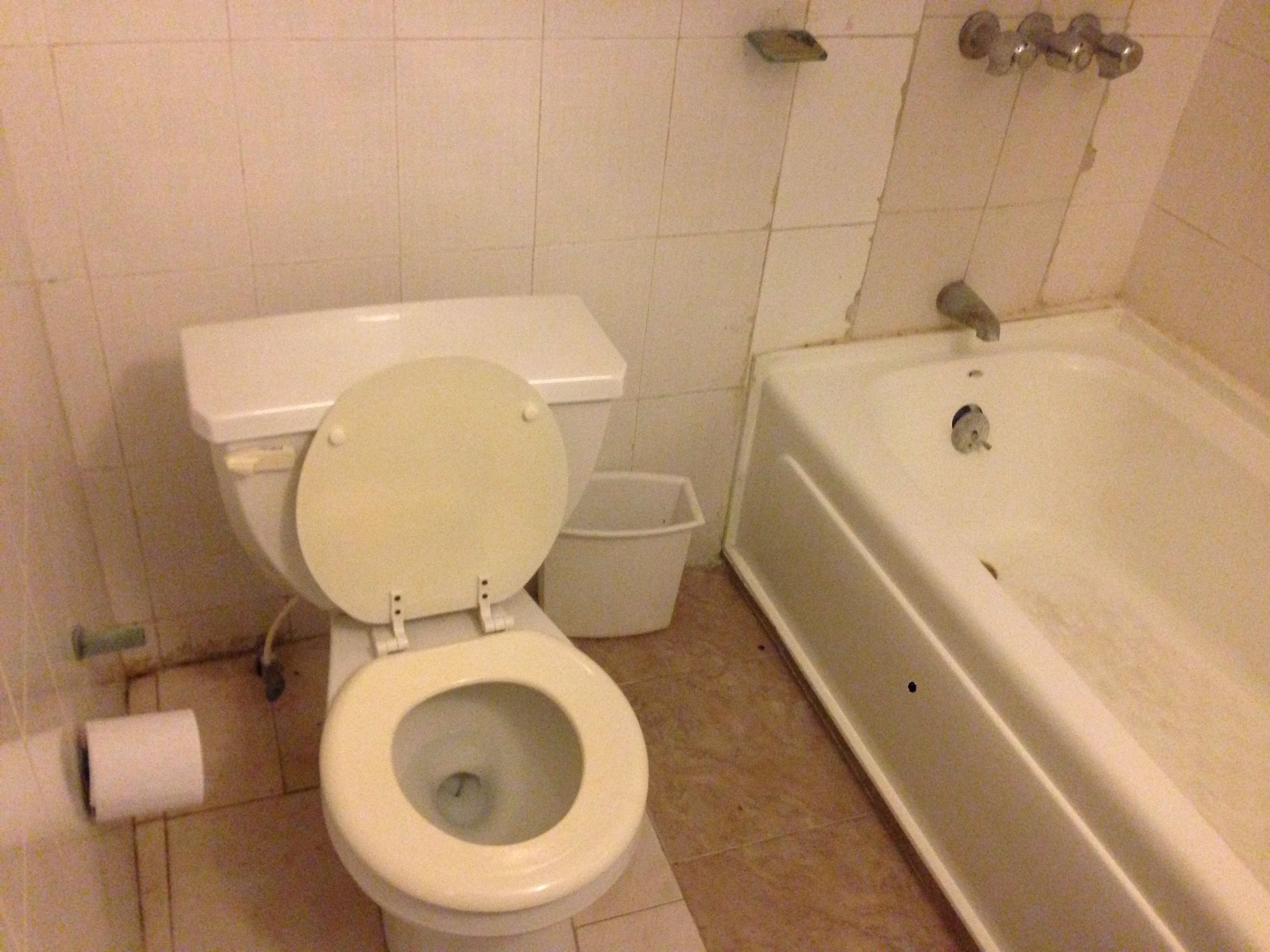 standard room, 2 queen beds | bathroom | shower, free toiletries