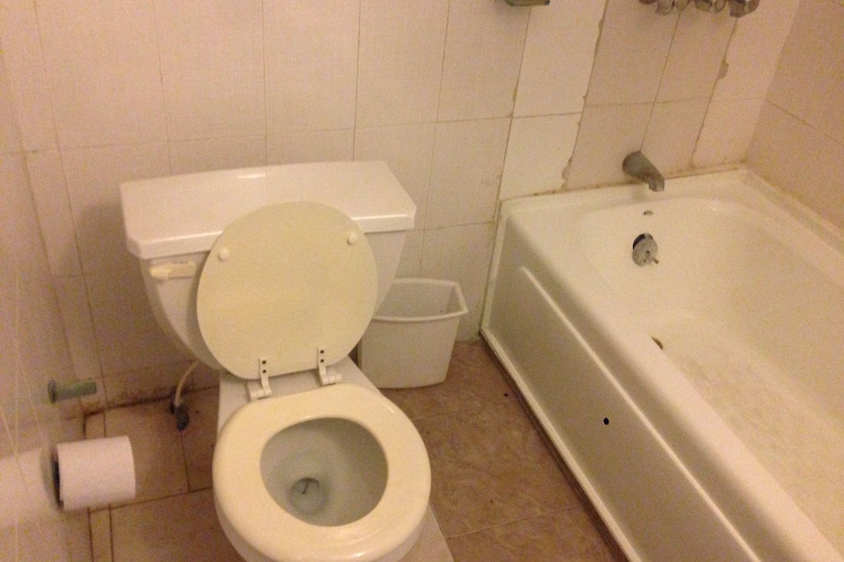 standard room, 2 queen beds | bathroom | shower, free toiletries