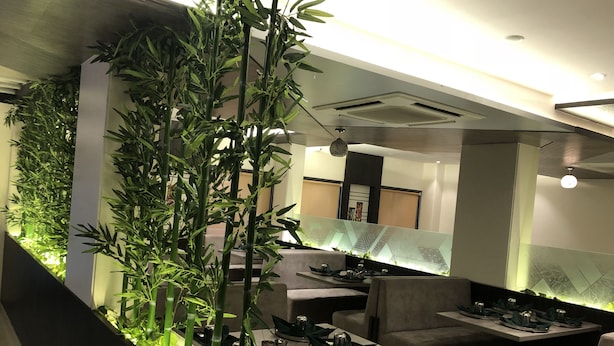 Un interior de restaurante moderno con plantas de bambú, asientos acolchados y una larga mesa de comedor.