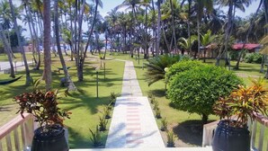 Un sendero serpentea por un jardín tropical con palmeras y plantas en macetas.