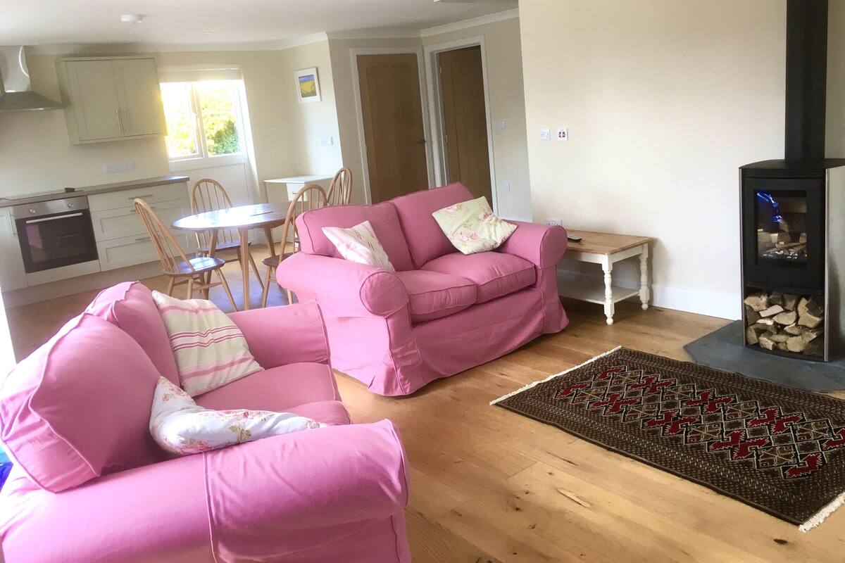 Un salon chaleureux avec des canapés roses, un plancher en bois, un tapis à motifs et une cheminée.