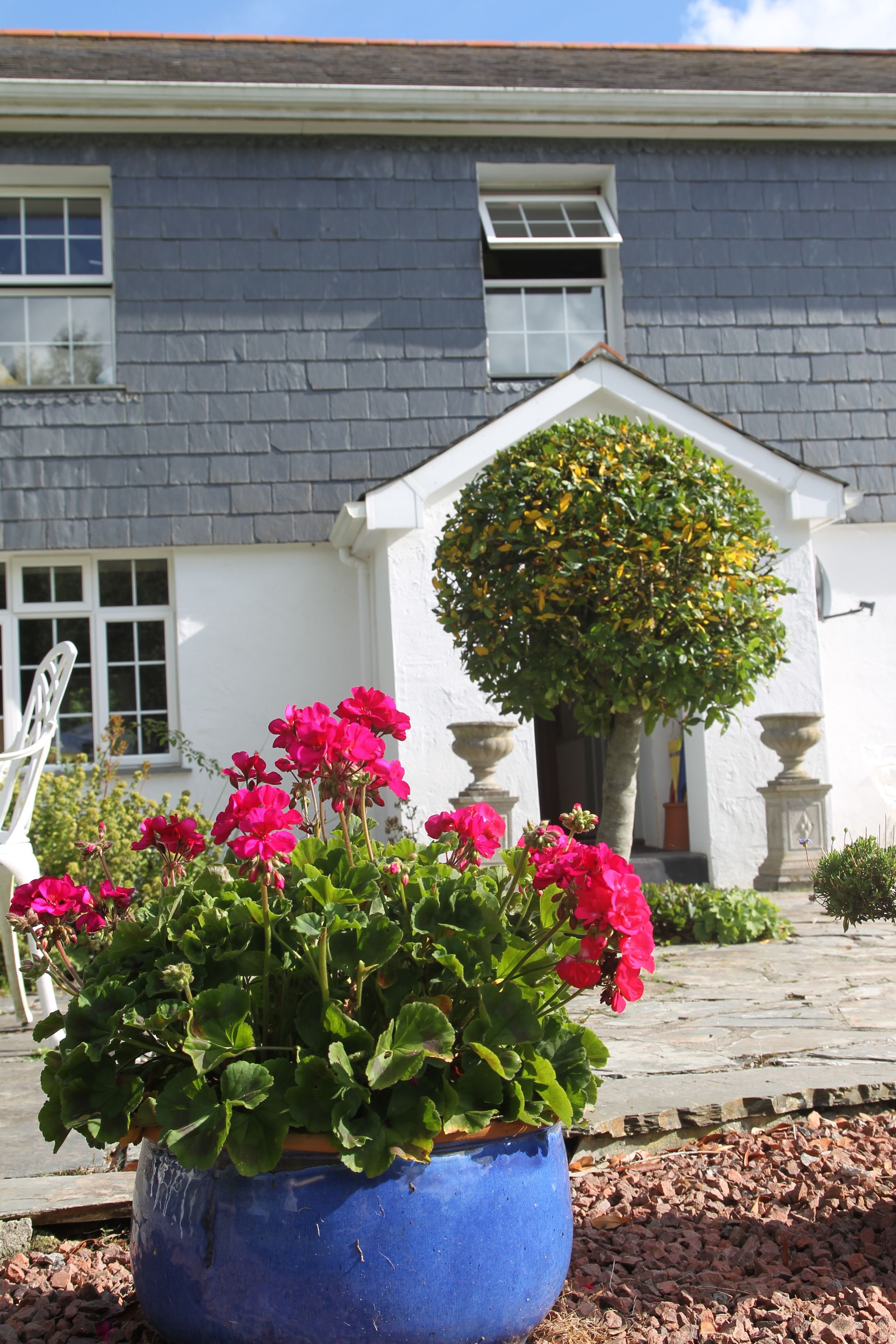 Dobbelt- eller tomannsrom, eget bad (4) | Terrasse/patio