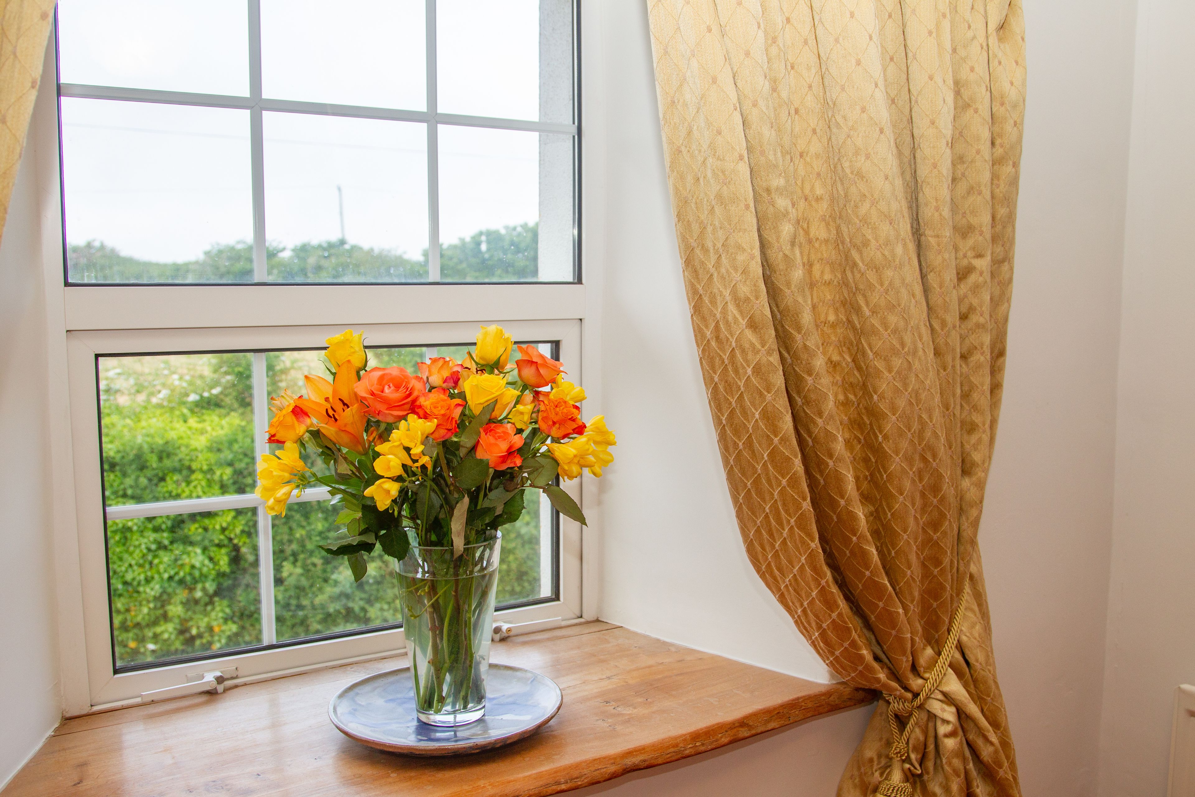A window with a view of greenery, a vase with flowers, and a curtain.