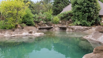 Piscine extérieure, piscine naturelle