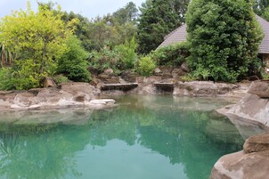 Un área de piscina tranquila al aire libre con agua cristalina, rodeada de rocas y abundante vegetación.