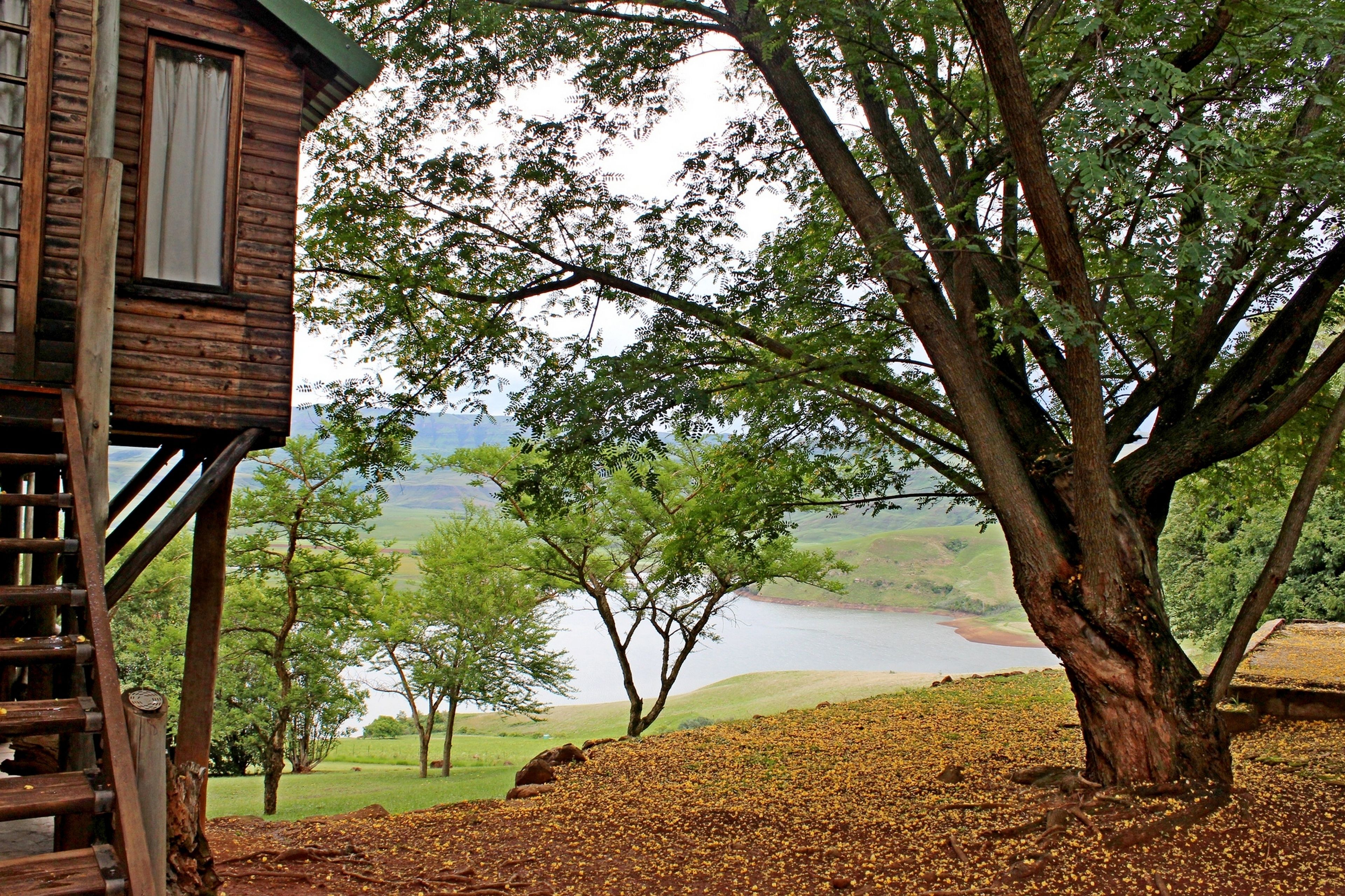 Classic Tree House, 2 Bedrooms, Mountain View, Mountainside | View from room