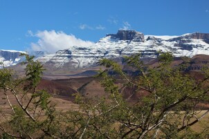 Paisaje montañoso con picos nevados y un primer plano de árboles dispersos.