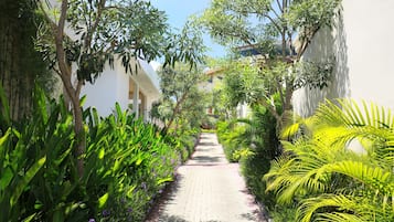 Garden view
