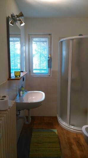 Apartamento, 1 habitación | Baño | Ducha y cabezal de ducha tipo lluvia