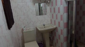 Un baño con inodoro, lavamanos y ducha.