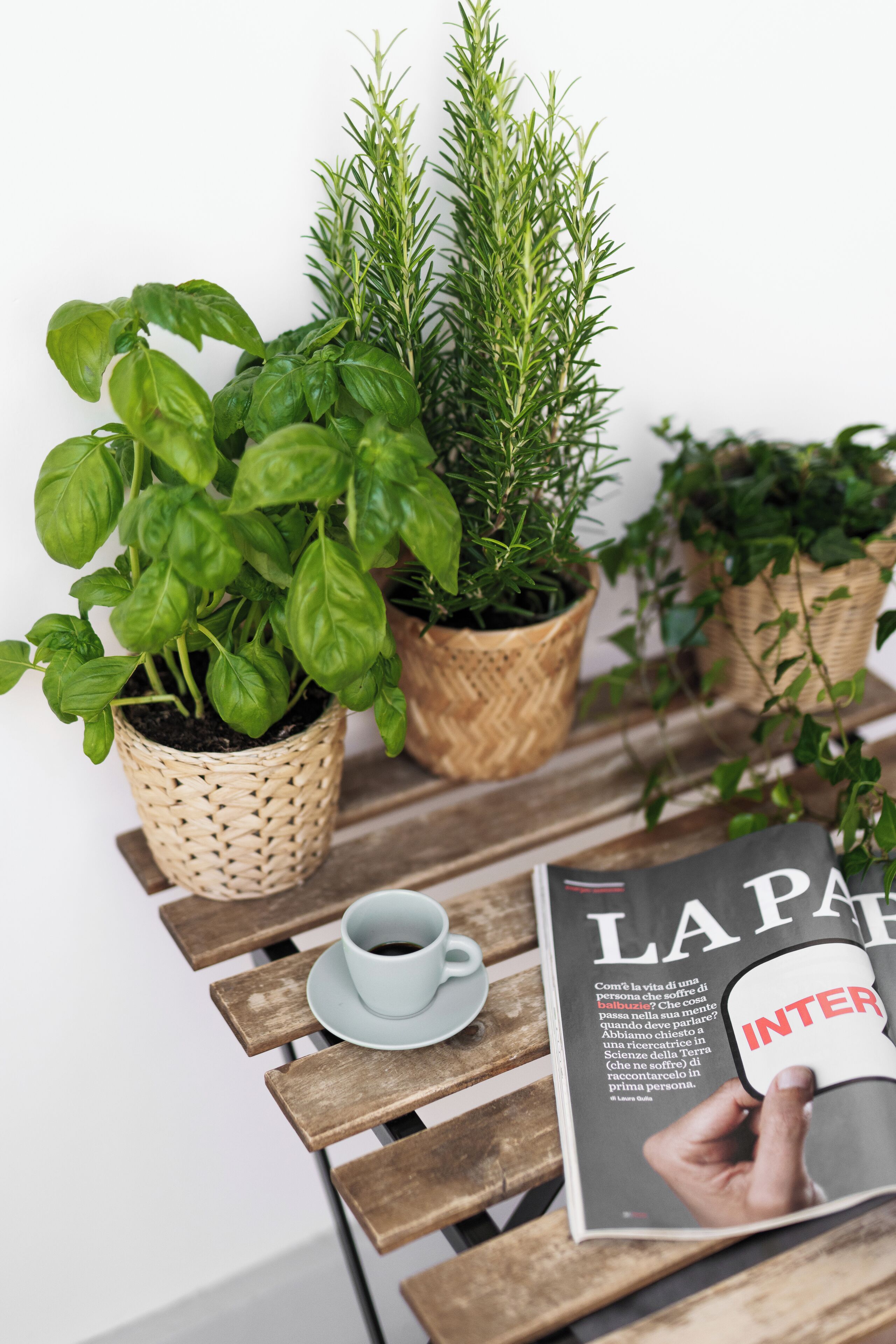 Une table en bois avec un magazine, une tasse et des plantes en pot.