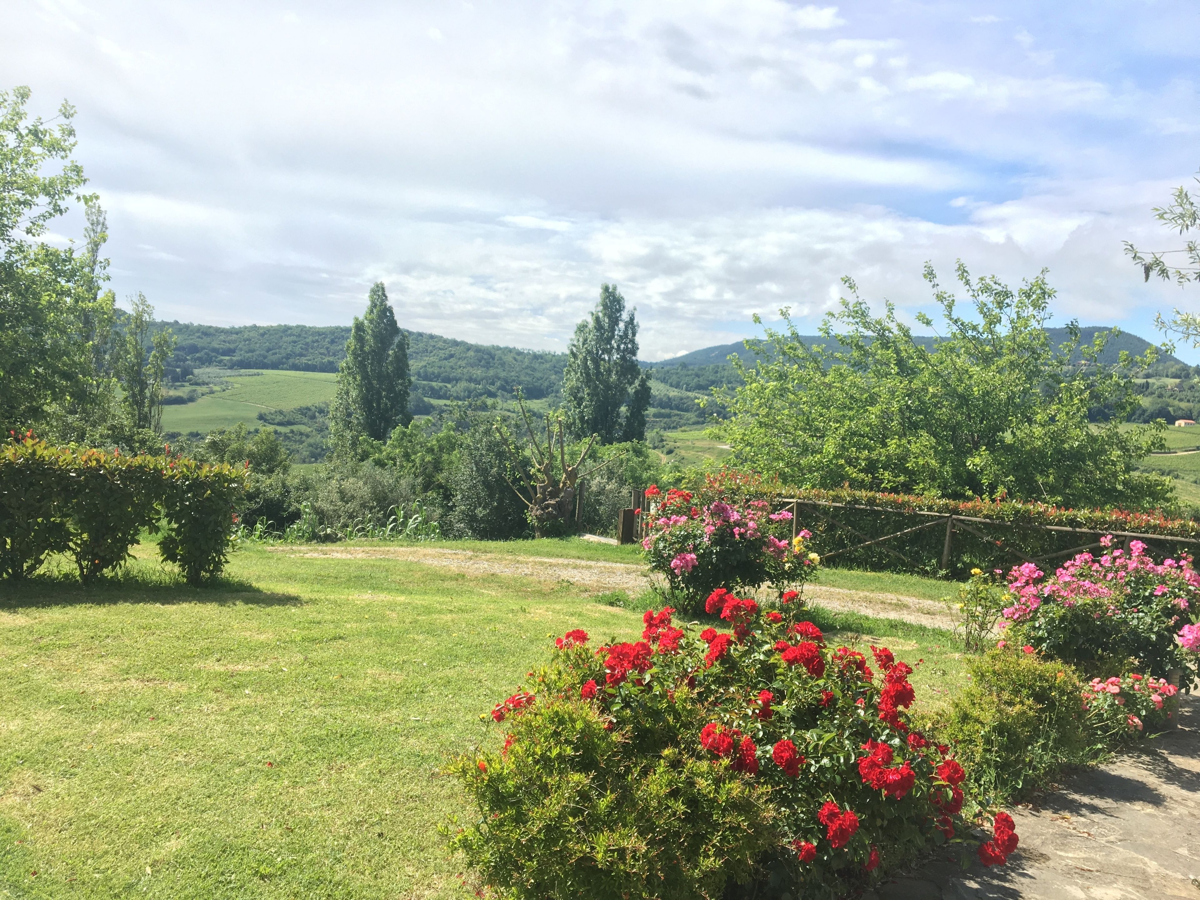 Un rigoglioso giardino con diverse piante fiorite e alberi, un cielo sereno e dolci colline sullo sfondo.