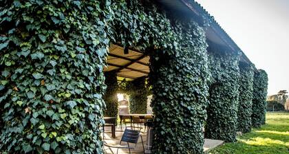 Bio Tenuta di Paganico - I Roggeti