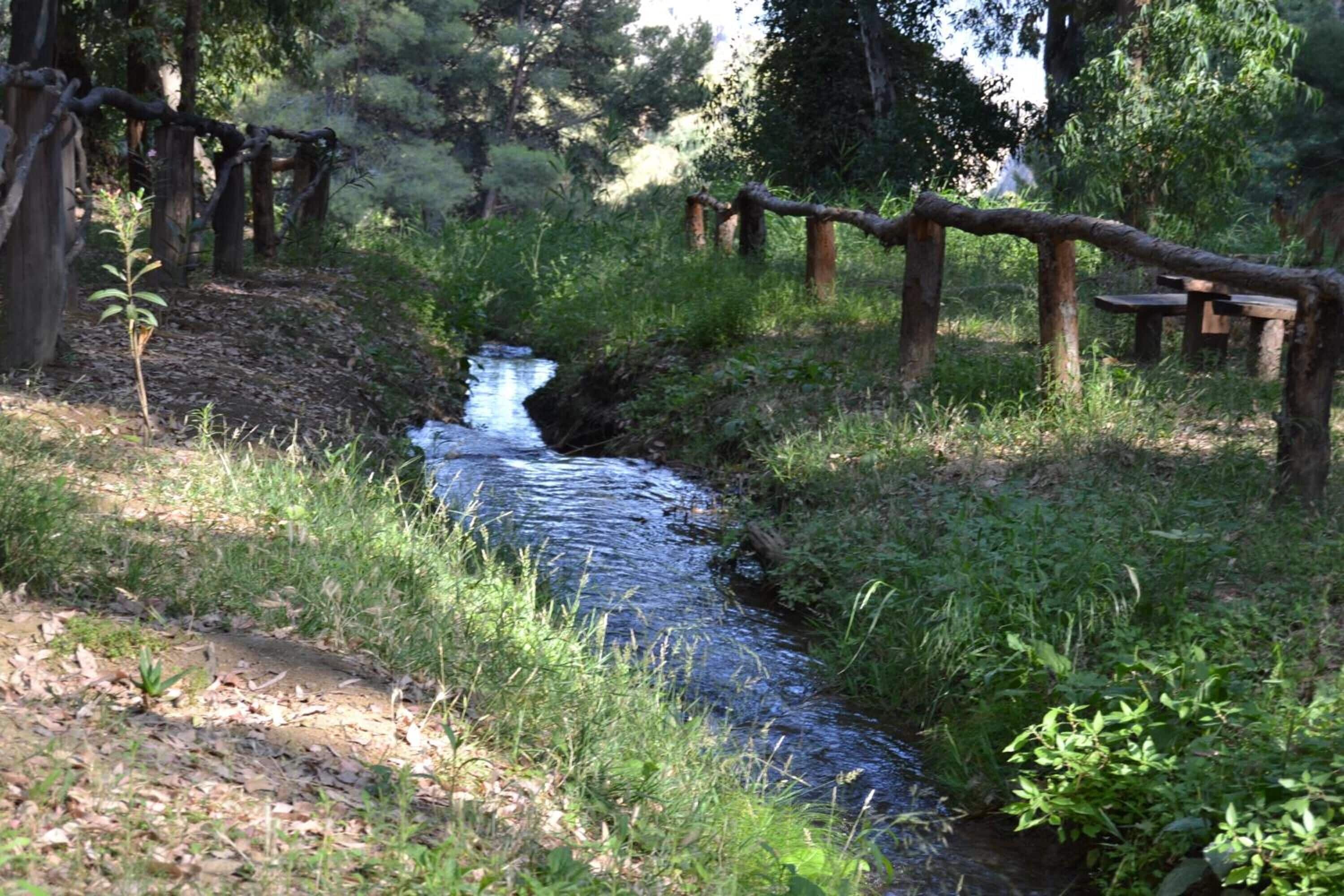 A natural stream with a wooden bridge, surrounded by dense greenery and trees.