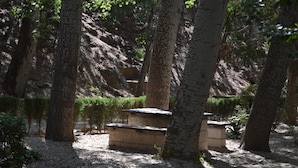 Une zone boisée avec des bancs en pierre et, au fond, une colline rocheuse.