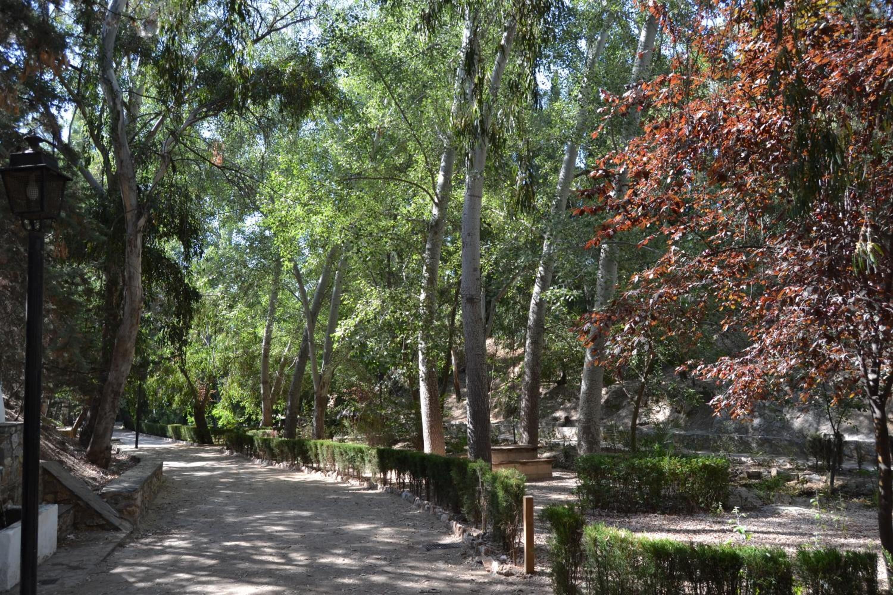 Foto - Hotel Central